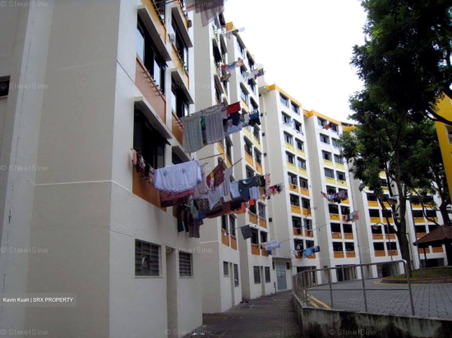 Blk 44 Telok Blangah Drive (Bukit Merah), HDB 3 Rooms #558830501